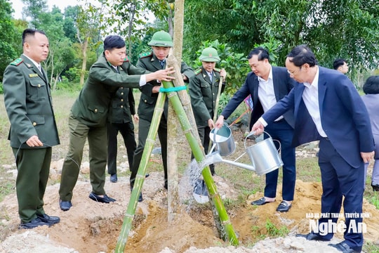 Tết trồng cây Xuân Bính Ngọ 2026: Một cây xanh - Một tương lai xanh