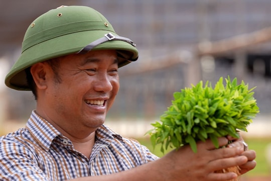 Tiến sĩ Vũ Văn Thoại và hành trình đưa "vàng xanh" đàn hương từ Việt Nam sang châu Phi