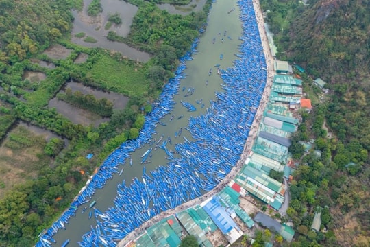 Chùa Hương 2026: Cẩm nang hành hương, giá vé và trải nghiệm tại Nam Thiên Đệ Nhất Động