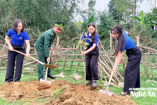 Các địa phương đồng loạt ra quân trồng cây nhân dịp đầu Xuân