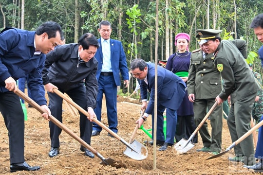Chủ tịch nước Lương Cường dự Lễ phát động “Tết trồng cây đời đời nhớ ơn Bác Hồ"