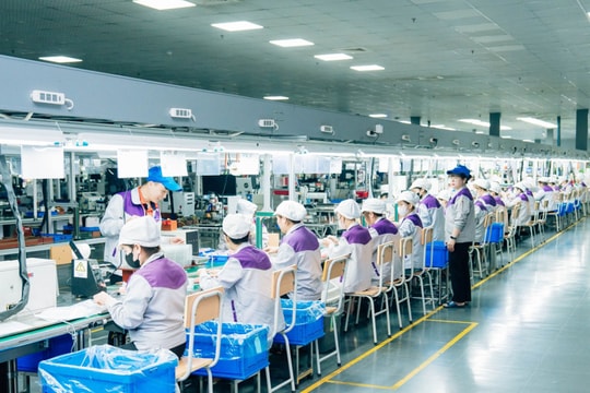 UBND tỉnh và Liên đoàn Lao động tỉnh thống nhất triển khai nhiệm vụ phối hợp năm 2026