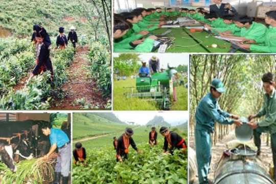 Đổi mới toàn diện, nâng cao chất lượng đào tạo nghề cho lao động nông thôn