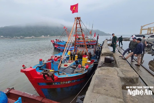 Ngư dân Cửa Lò trúng mẻ cá hơn 200 triệu sau chuyến ra khơi đầu năm