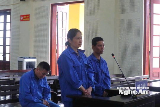 Thiếu phụ trả giá sau 5 lần buôn ma túy