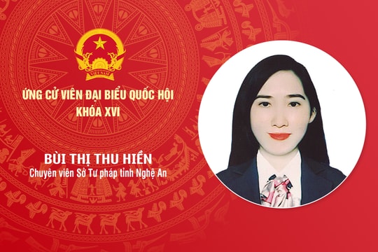 Tiểu sử ứng cử viên Đại biểu Quốc hội khóa XVI Bùi Thị Thu Hiền