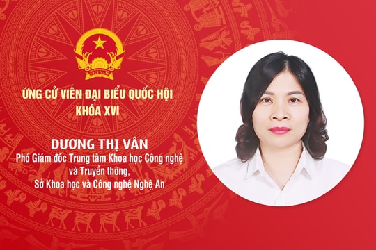 Tiểu sử ứng cử viên Đại biểu Quốc hội khóa XVI Dương Thị Vân