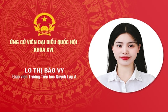 Tiểu sử ứng cử viên Đại biểu Quốc hội khóa XVI Lo Thị Bảo Vy