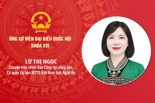 Tiểu sử ứng cử viên Đại biểu Quốc hội khóa XVI Lữ Thị Ngọc