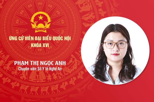 Tiểu sử ứng cử viên Đại biểu Quốc hội khóa XVI Phạm Thị Ngọc Anh