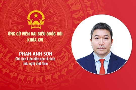 Tiểu sử ứng cử viên Đại biểu Quốc hội khóa XVI Phan Anh Sơn
