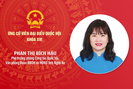 Tiểu sử ứng cử viên Đại biểu Quốc hội khóa XVI Phan Thị Bích Hậu