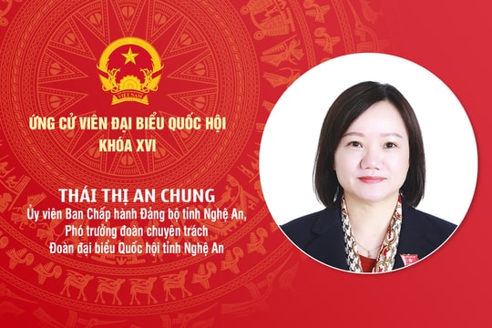 Tiểu sử ứng cử viên Đại biểu Quốc hội khóa XVI Thái Thị An Chung