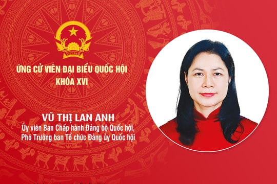 Tiểu sử ứng cử viên Đại biểu Quốc hội khóa XVI Vũ Thị Lan Anh