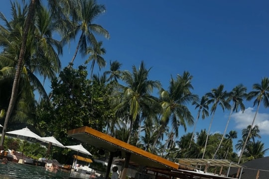 Koh Samui và Niseko: Những điểm du xuân đẳng cấp của gia đình tỷ phú Jonathan Hạnh Nguyễn