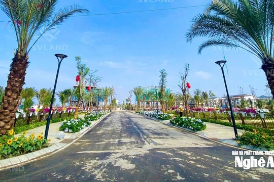 Thị trường bất động sản chuyển dịch theo nhu cầu ở thực
