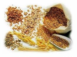 Giá đậu tương lập đỉnh 3 tháng tại 11,65 USD/bushel nhờ kỳ vọng nhu cầu từ Trung Quốc
