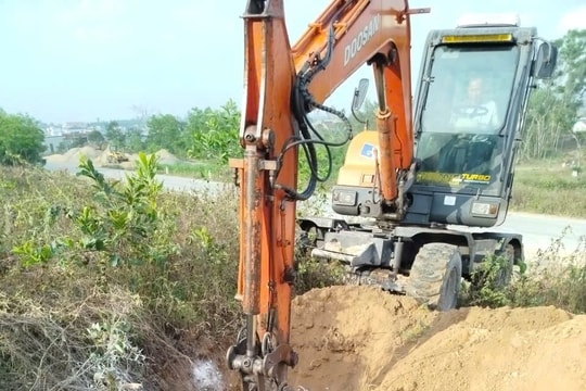 Hoàng Mai chủ động khống chế dịch tả lợn châu Phi