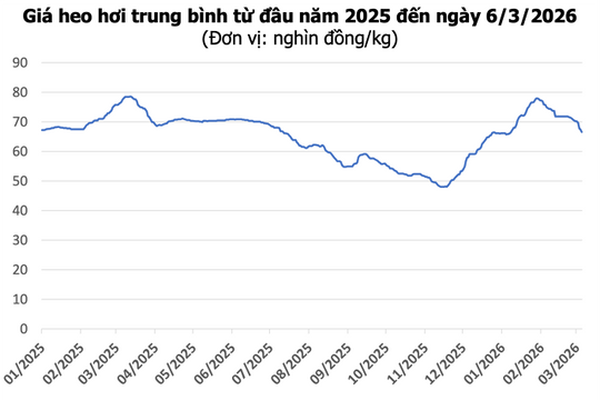Giá heo hơi hôm nay 6/3: Giảm tới 2.000 đồng/kg, thị trường về mức 62.000 đồng/kg