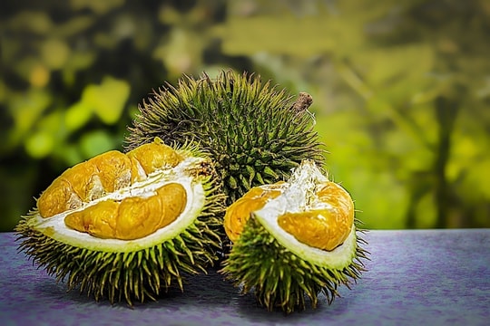 Giá sầu riêng hôm nay 7/3: Ri6 giảm 5.000 đồng/kg, sầu Thái giữ mức 170.000 đồng