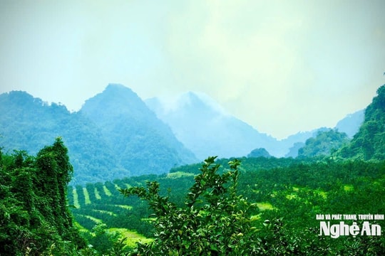 Thời tiết Nghệ An ngày 8/3: Trời chuyển rét, có mưa rào và dông rải rác