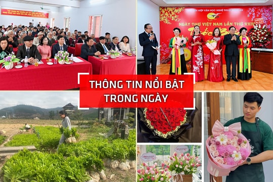 Nghệ An: Thông tin nổi bật ngày 7/3