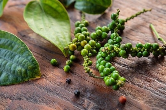 Giá tiêu hôm nay 7/3: Tăng tới 2.000 đồng/kg, chạm ngưỡng 146.000 đồng