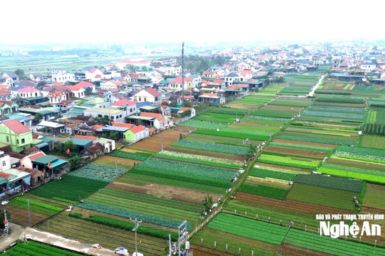 Thời tiết Nghệ An ngày 10/3: Đêm và sáng có mưa nhỏ vài nơi, trời rét