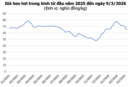 Giá heo hơi hôm nay 9/3: Đồng loạt giảm tại ba miền, thấp nhất 61.000 đồng/kg