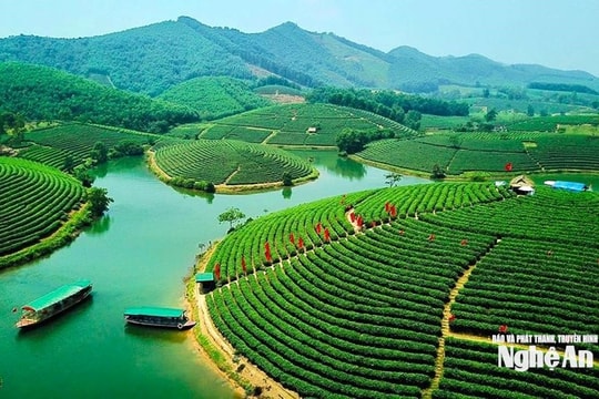 Thời tiết Nghệ An ngày 11/3: Sáng sớm có mưa nhỏ, trưa và chiều trời nắng