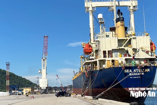 Hỗ trợ khẩn cấp thủ tục hải quan trước diễn biến căng thẳng tại khu vực Trung Đông