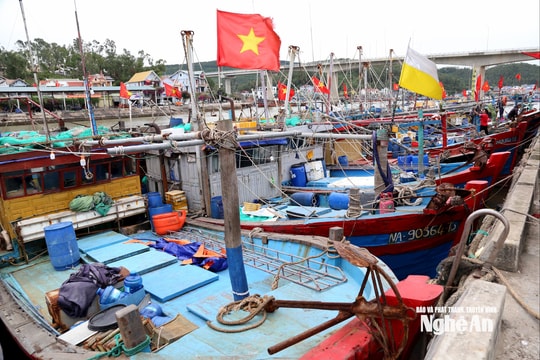 Giá xăng dầu tăng cao, nhiều tàu thuyền ở Nghệ An nằm bờ