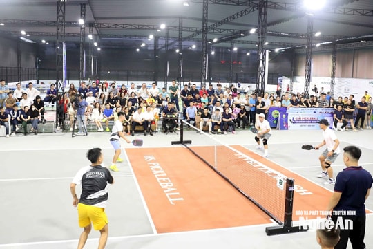 Công bố Điều lệ Giải Pickleball Cúp NTV - Bia Sao Vàng lần thứ II, năm 2026