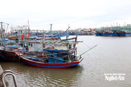 Ngư dân thích ứng trong điều kiện giá xăng dầu tăng cao