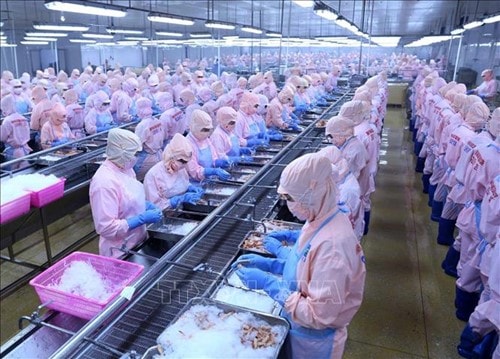 Xuất khẩu thủy sản sang Trung Đông đối mặt rủi ro chi phí vận tải tăng 4.000 USD