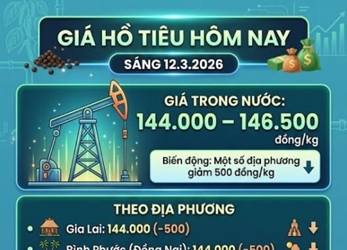 Giá tiêu ngày 12/3: Nguồn cung dồi dào, giá nội địa điều chỉnh về mức 144.000 đồng/kg