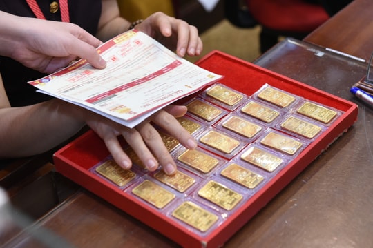 Giá vàng hôm nay 14/03/2026: Giá vàng SJC, nhẫn 9999 trong nước, và vàng thế giới cuối tuần sớm nhất