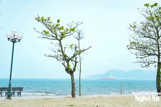 Thời tiết Nghệ An ngày 18/3: Ngày trời nắng, đêm có mưa vài nơi