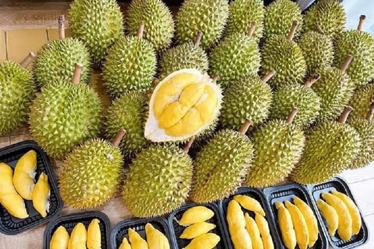 Giá sầu riêng ngày 14/3: Sầu Thái VIP loại A duy trì ở mức 180.000 đồng/kg