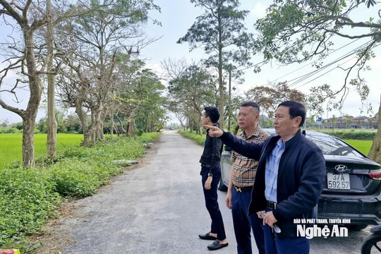 Dự án 'treo' 10 năm của Golf biển Cửa Lò ở Vinh Phú bị đề nghị rà soát năng lực