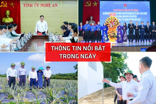 Nghệ An: Thông tin nổi bật ngày 17/3