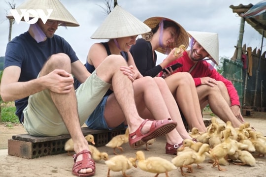 Phong Nha: Trải nghiệm massage vịt và chăn trâu độc đáo tại Bồng Lai