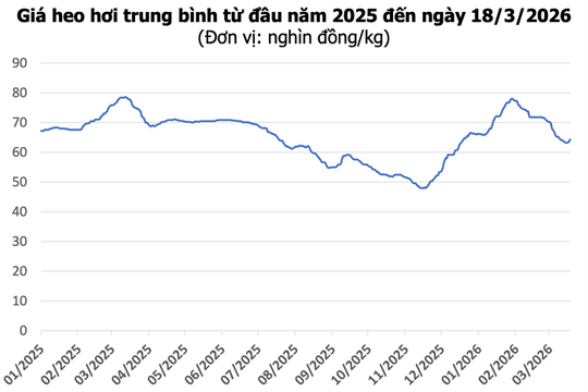 Giá heo hơi hôm nay 18/3: Tăng trên diện rộng, mức cao nhất đạt 67.000 đồng/kg