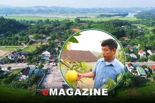 Trưởng thôn tiên phong đổi mới, mở lối làm giàu