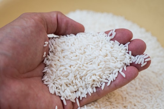 Giá lúa gạo hôm nay 20/3: Thị trường ổn định, gạo nguyên liệu giảm nhẹ 50 đồng/kg