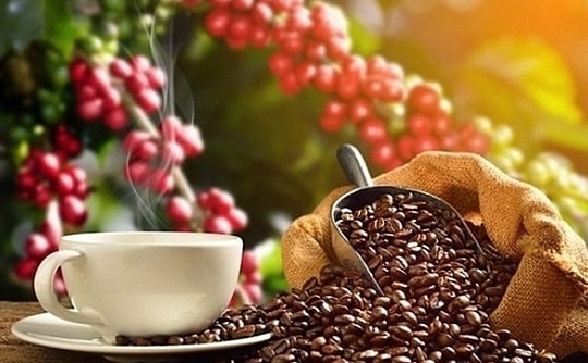 Giá cà phê hôm nay 21/3: Trong nước tăng mạnh lên 93.500 đồng/kg