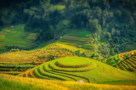Truyện ngắn: “Mưa giông”