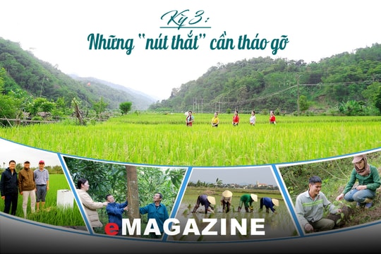 Khai mở “kho báu carbon” từ rừng và lúa: Kỳ 3: Những “nút thắt” cần tháo gỡ