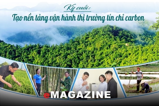 Khai mở “kho báu carbon” từ rừng và lúa: Kỳ cuối: Tạo nền tảng vận hành thị trường tín chỉ carbon