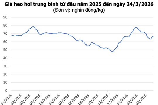 Giá heo hơi hôm nay 24/3: Miền Nam tăng lên 69.000 đồng, miền Bắc giảm nhẹ